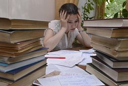 В Пензенской области будут плотнее работать с выпускниками вузов