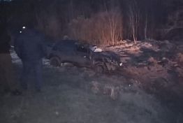 Под Пензой погиб водитель столкнувшейся с лосем «Гранты»
