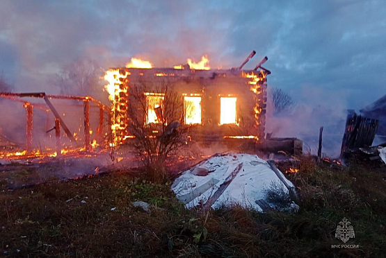 В Городищенском районе сгорели садовые дома