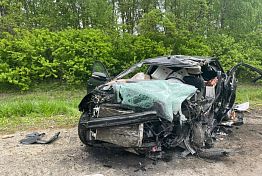Один человек погиб и пять пострадали в аварии в Белинском районе Один человек погиб и пять пострадали в аварии в Белинском районе