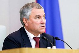 Володин о работе депутатов в избирательных округах 