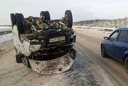 Появились фото перевернувшейся на трассе под Пензой «Газели»