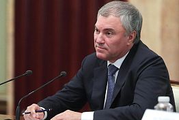 Вячеслав Володин назвал ответственных за контроль над ростом цен