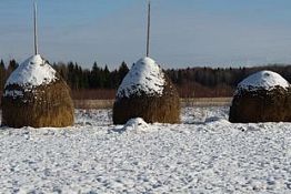 В Земетчинском районе украли полтонны сена