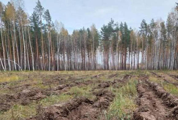 В Пензенской области готовят почву под лесные культуры