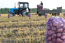 Начинающим фермерам будет проще получить гранты Начинающим фермерам будет проще получить гранты