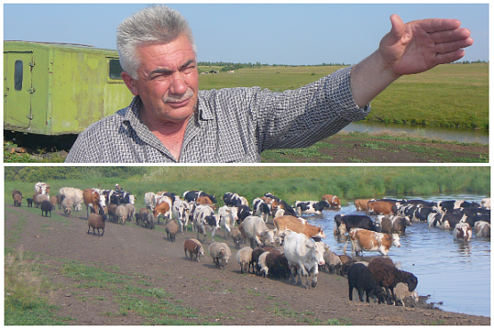 Фермер в Белинском районе строит животноводческую ферму