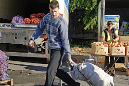 В Пензе картофель и яблоки дешевле купить в магазине, а помидоры — на рынке В Пензе картофель и яблоки дешевле купить в магазине, а помидоры — на рынке