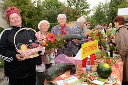 В Пензе прошел фестиваль садоводов «Щедрая осень»