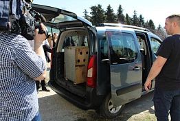 До свидания, наша ласковая Нюра: Пензенская медведица переехала в Минск