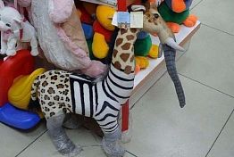 Зебраслоновидный жирапард: Пензенцы обсуждают игрушку из магазина