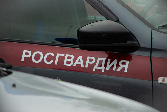 В Пензе росгвардейцы задержали дебоширов в продуктовом магазине