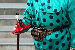 В Башмаковском районе хулиган отобрал у 86-летней сельчанки палки для ходьбы