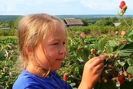 Семья Бутусовых переехала из Пензы под Сосновоборск ради фруктов и ягод