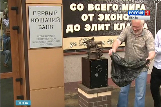 В Пензе неизвестный благотворитель заказал скульптору «Кошачий банк»