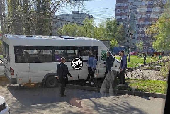 В Пензе на пр. Строителей маршрутка повалила березу