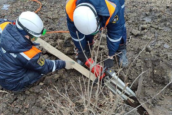 В Пензе спасатели помогли хозяину вернуть собаку