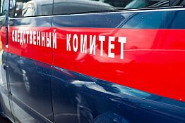 Бековчанка пыталась подвести под уголовную статью приятеля дочери Бековчанка пыталась подвести под уголовную статью приятеля дочери