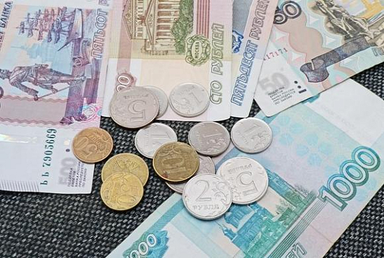 У пензенцев осталось 2 недели, чтобы получить субсидию для дезинфекционных мероприятий