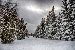 В Пензенской области 18 января 2026 ожидается до -32 градусов