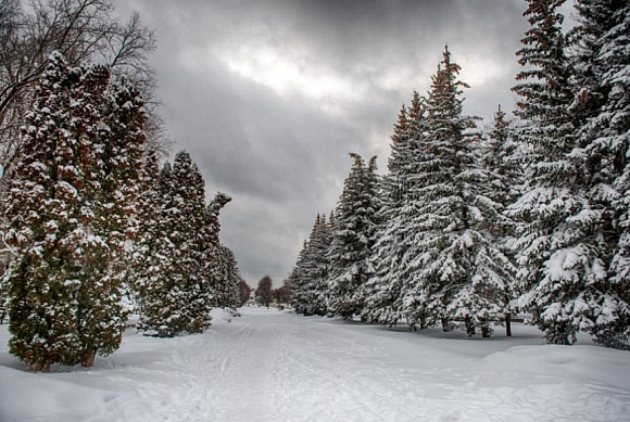 В Пензенской области 18 января 2026 ожидается до -32 градусов