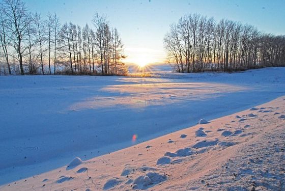 В Пензенской области 28 января прогнозируют мороз и туман