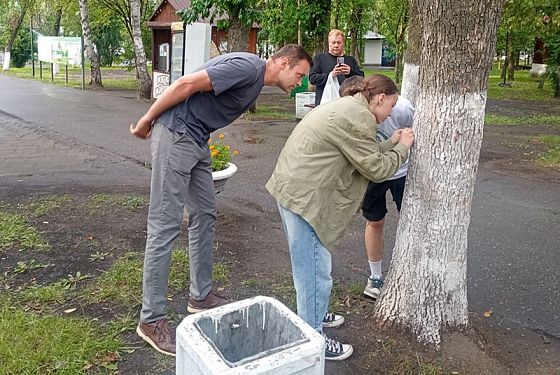 В Детском парке Пензы спилят пораженные златкой деревья