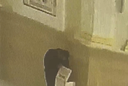 В Пензе парень украл деньги из церкви и потратил их на стрижку