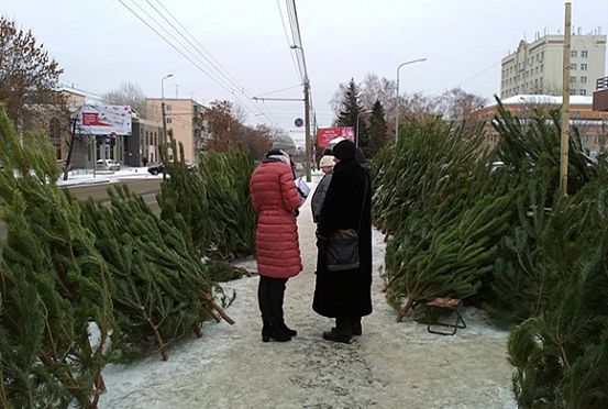 В Пензе прошли рейды в поисках елочного «контрафакта»