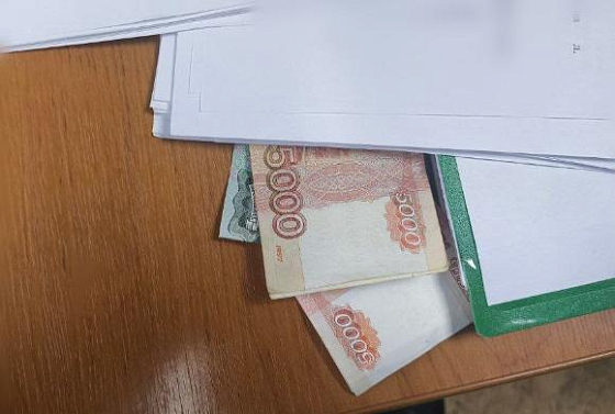 В Пензенском районе иностранец пытался «выкупить» приятелей у полиции
