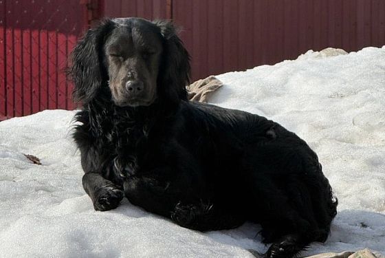 Тепло до +10 ожидается в Пензе 16 марта 2026