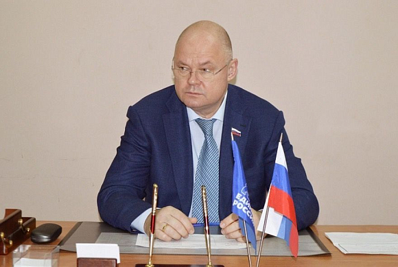 В пензенских библиотеках установили главные символы Нового года