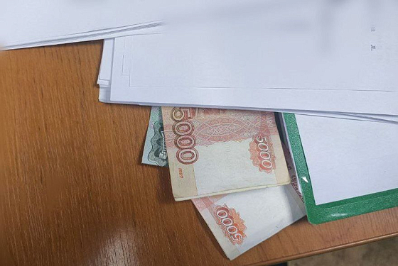 В Пензе иностранца осудили из-за взятки за пьяных друзей