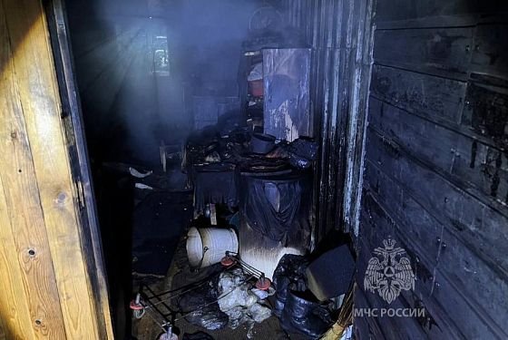 59-летний мужчина погиб в пожаре в СНТ «Дубрава» в Пензе