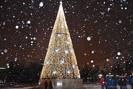 Белозерцев поручил достойно украсить Пензу к Новому году Белозерцев поручил достойно украсить Пензу к Новому году
