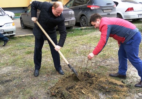 В Пензе в районе ГПЗ-24 посадили 300 саженцев каштанов и рябины