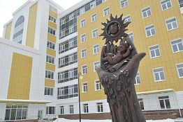 В Совфеде покажут работу передовых медучреждений Пензенской области