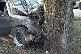 В Пензе мужчина погиб, врезавшись на машине в дерево В Пензе мужчина погиб, врезавшись на машине в дерево