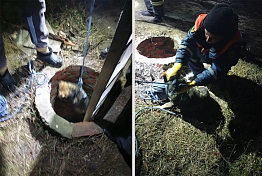 В Чаадаевке из колодца спасли собаку