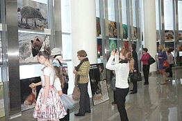 В Пензе открылась выставка лучших фоторабот фестиваля «Первозданная Россия» В Пензе открылась выставка лучших фоторабот фестиваля «Первозданная Россия»