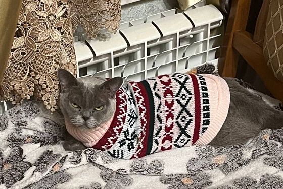 В Пензе обещают мороз до -32 градусов 25 января 2026