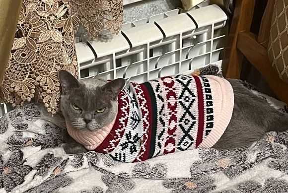 В Пензе обещают мороз до -32 градусов 25 января 2026