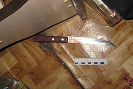Присяжные признали пензячку виновной в убийстве Присяжные признали пензячку виновной в убийстве