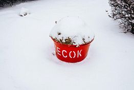 В Пензе установят еще 300 красных ведер с песком В Пензе установят еще 300 красных ведер с песком