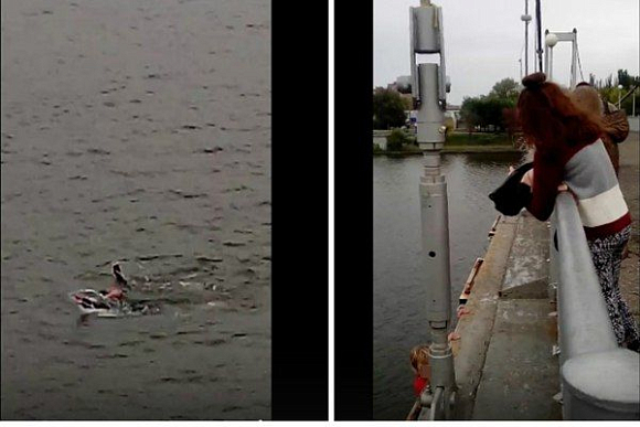 В сети появилось видео прыгающих в холодную воду пензенских подростков