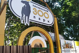 В Пензенском зоопарке изменился режим работы