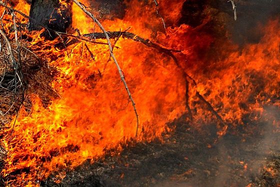 При пожаре под Шемышейкой погибла 52-летняя женщина