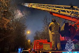 Пензенские пожарные сняли с дерева кота и мужчин, пытавшихся ему помочь Пензенские пожарные сняли с дерева кота и мужчин, пытавшихся ему помочь