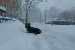 В Пензе и области усилится снегопад