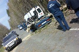 Следователи проводят проверку по факту гибели людей при падении деревьев Следователи проводят проверку по факту гибели людей при падении деревьев